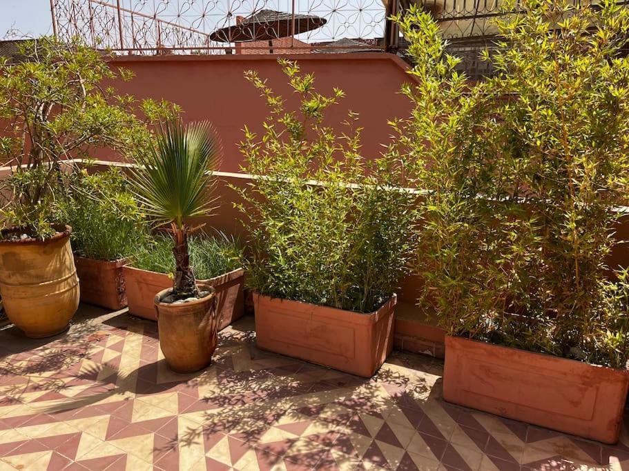 Riad Nadara, Superbe Riad Au Coeur De La Medina! มาร์ราเกช ภายนอก รูปภาพ